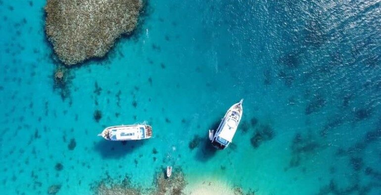 Private Dolphin Tour in Hurghada — view 2