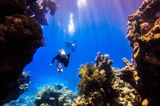 Private Dolphin Tour in Hurghada — view 4