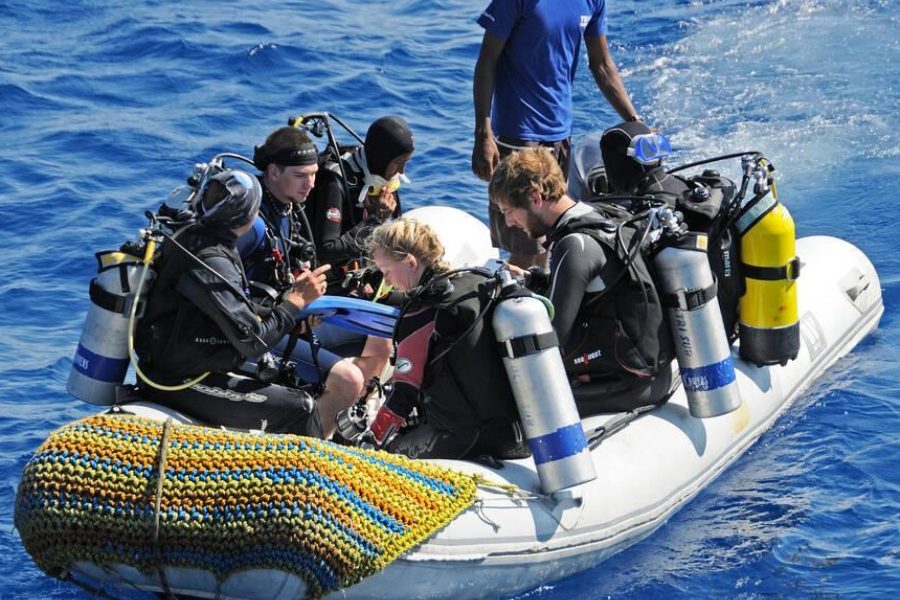 Location de Bateau Privé Récif d'Elphinstone in Marsa Alam — view 3