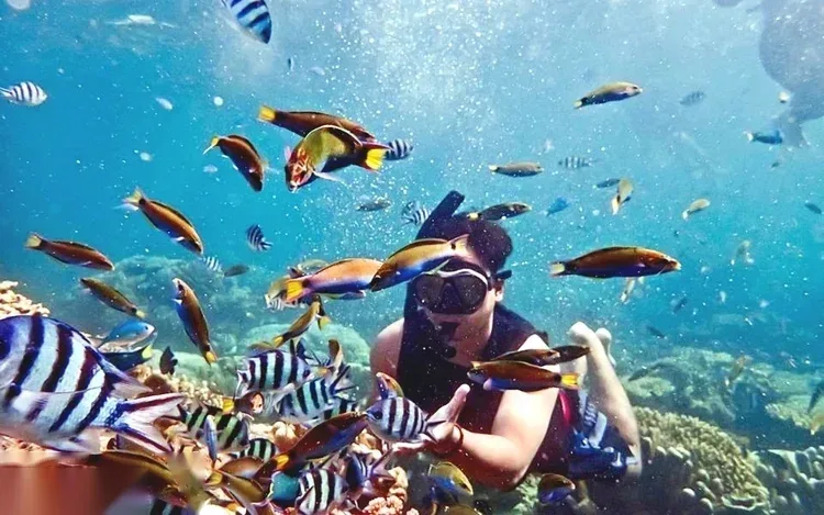 Private Snorkeling Speedboat Tour in Hurghada