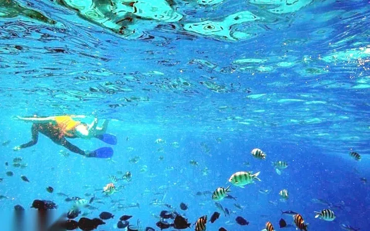 Private Snorkeling Speedboat Tour in Hurghada — view 3
