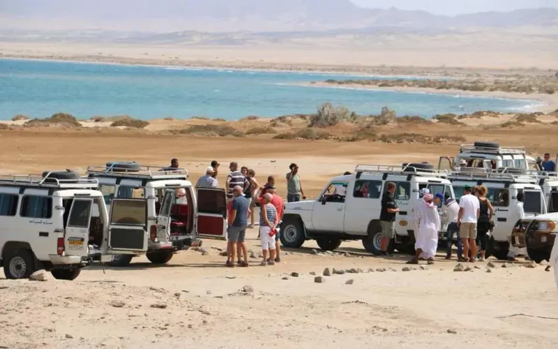 Private Wadi El Gemal National Park Safari — Marsa Alam, rated 4.9 on TripAdvisor