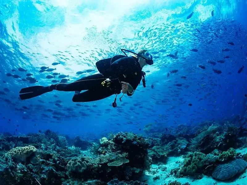 Aventure de Plongée en Mer Rouge in Hurghada