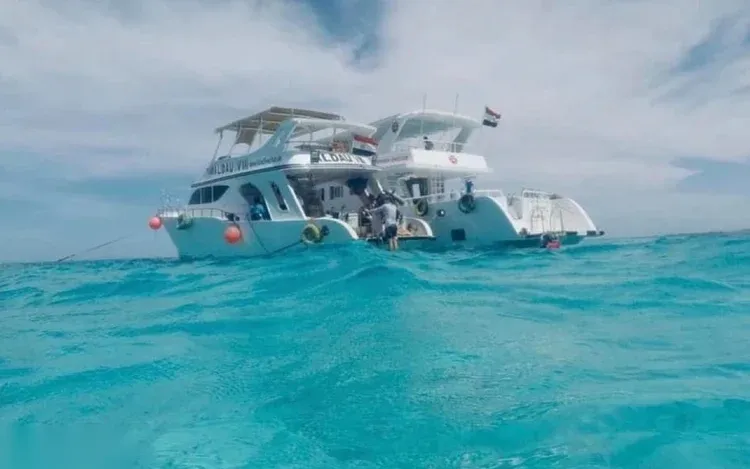 Samadai Delfinriff Schnorcheltour in Marsa Alam