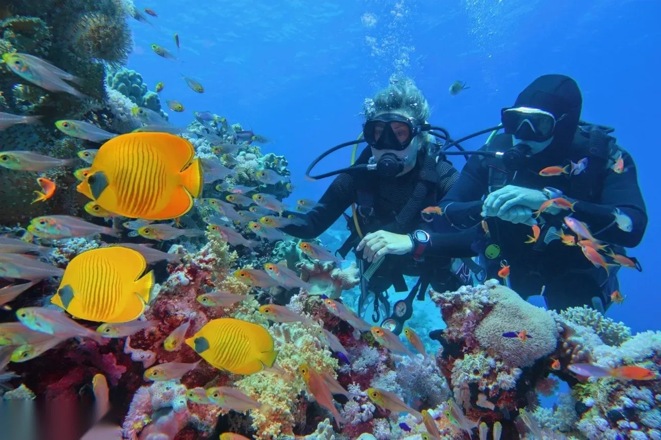 Excursion de Plongée Sous-Marine in Hurghada