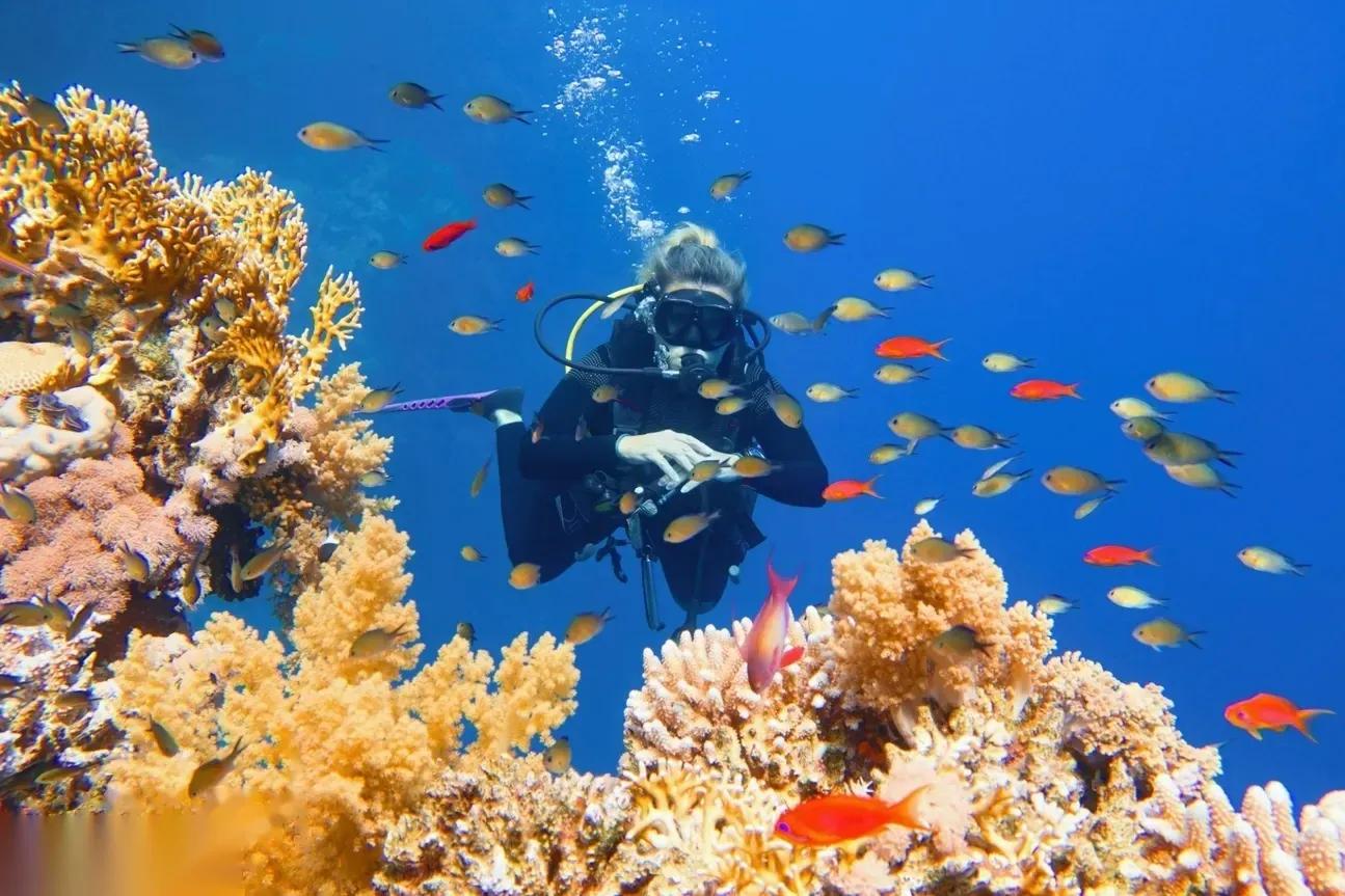 Excursion de Plongée Sous-Marine in Hurghada — view 5