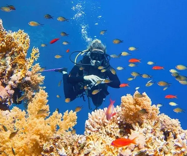 SDI Open Water Diver in Hurghada