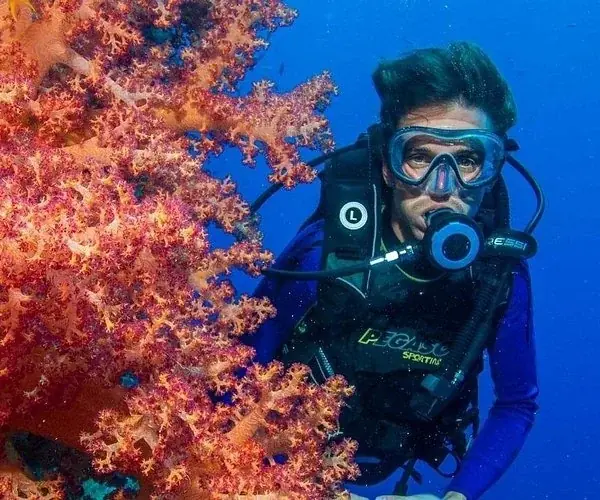 SDI Open Water Diver in Hurghada — view 2