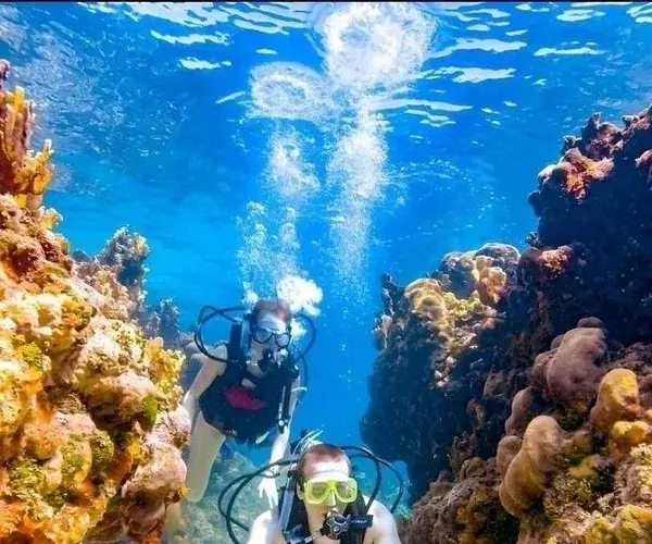 SDI Open Water Diver in Hurghada — view 4