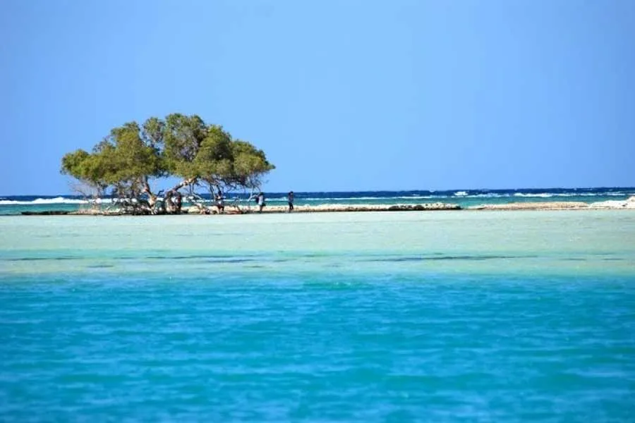 Excursion snorkeling à Sharm El Luli et Wadi El Qulaan in Marsa Alam — view 5