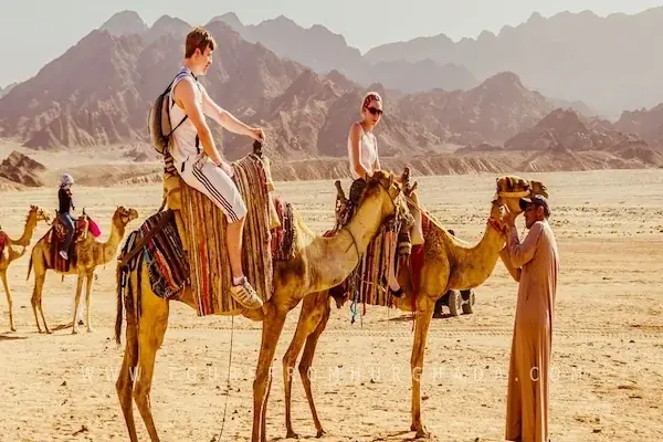 Super Excursion Safari in Hurghada — view 3