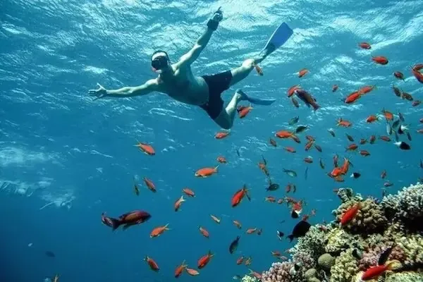 VIP Eden Island Boat Trip in Hurghada — view 5